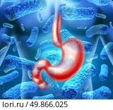 Stomach infection and gastroenteritis or gastro caused by a viral bacterial illness by contaminated food with parasitic bugs causing medical flu symptoms as diarrhea, vomiting and abdominal cramps in the human digestive system. Стоковое фото, агентство Ingram Publishing / Фотобанк Лори