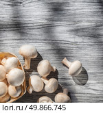 Mushrooms on wooden table, top view image. Стоковое фото, агентство Ingram Publishing / Фотобанк Лори