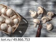 Mushrooms on wooden table, top view image. Стоковое фото, агентство Ingram Publishing / Фотобанк Лори