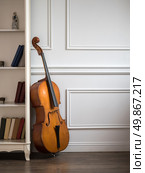 Cello in classical interior near bookshelf. Стоковое фото, агентство Ingram Publishing / Фотобанк Лори