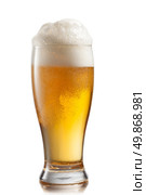 Beer in glass isolated on white background. Стоковое фото, агентство Ingram Publishing / Фотобанк Лори