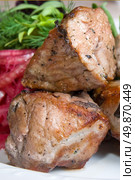fried meat with potherbs on the plate. Стоковое фото, агентство Ingram Publishing / Фотобанк Лори