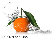 Tangerine with water splash isolated on white . Стоковое фото, агентство Ingram Publishing / Фотобанк Лори