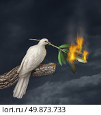 Peace crisis concept with a white dove standing on a tree holding an olive branch on fire as a symbol of the challenges of war fighting and revolution and the elusive search for a truce or agreement in the middle East or other countries in conflict. Стоковое фото, агентство Ingram Publishing / Фотобанк Лори