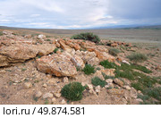 Typical rocky steppe Altai landscape with semi-desert vegetation. Стоковое фото, фотограф Сергей Пристяжнюк (Serg Zastavkin) / Фотобанк Лори