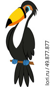 Funny Cartoon Character Toucan Sitting on a Brunch Tree Over White Background. Hand Drawn in Perspective Elegant Cute Design. Tropical and Zoo  Fauna. Vector illustration. . Стоковая иллюстрация, агентство Ingram Publishing / Фотобанк Лори