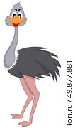 Funny Cartoon Character Ostrich With Smile and Looking Forward Over White Background.  Hand Drawn in Profile View Elegant Cute Design. Vector illustration. . Стоковая иллюстрация, агентство Ingram Publishing / Фотобанк Лори