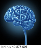 Financial brain business concept with a human thinking organ and a dollar symbol integrated in the gray matter as an icon of thinking of a strategy to make and save money and intelligent budget management and planning. Стоковое фото, агентство Ingram Publishing / Фотобанк Лори