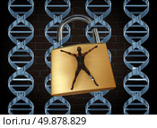 Genetic prison and human engineering of DNA as the biotechnology science concept for unlocking the secrects of the human genome to free humans of disease and inherited illness through scientific research with dna strands as jail bars and a lock shaped as a person. Стоковое фото, агентство Ingram Publishing / Фотобанк Лори