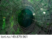 Spider web. Element of design. Стоковое фото, агентство Ingram Publishing / Фотобанк Лори