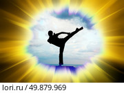 Kung fu illustration. Element of design. Стоковое фото, агентство Ingram Publishing / Фотобанк Лори