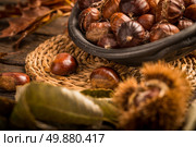 Roasted chestnuts on a rustic wooden table with autumn leaves in the background. Стоковое фото, агентство Ingram Publishing / Фотобанк Лори