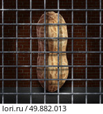 Peanut allergy and no peanuts allowed concept with the prohibited snack behind bars as a symbol of allergic reaction and baned ingredients causing food allergies. Стоковое фото, агентство Ingram Publishing / Фотобанк Лори