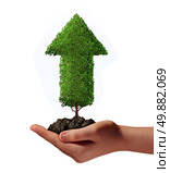 Thriving opportunity business success concept as a human hand holding an upward growing arrow tree  in soil as a metaphor for future wealth and prosperity growth on a white background. Стоковое фото, агентство Ingram Publishing / Фотобанк Лори