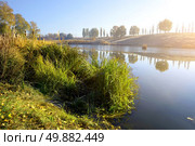 Reeds on autumn river at the sunrise. Стоковое фото, агентство Ingram Publishing / Фотобанк Лори