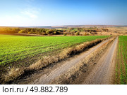 Country road through the field of winter crops. Стоковое фото, агентство Ingram Publishing / Фотобанк Лори