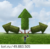 Eliminating the competition business concept for managing growth as a businessman with an ax cutting down and wiping out competing trees shaped as arrows to strengthen his chosen winning investment. Стоковое фото, агентство Ingram Publishing / Фотобанк Лори