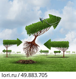 Growth Leadership business concept as a businessman on a flying arrow tree that is uprooted leading over a group of other confused trees as a financial guidance solution metaphor for the power of advice and confidence in setting goals through vision. Стоковое фото, агентство Ingram Publishing / Фотобанк Лори
