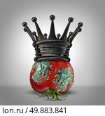 Corruption leadership concept as a roten tomato with mold wearing a rusted king crown as a business metaphor for a corrupt leader or oppressor slowly rotting away. Стоковое фото, агентство Ingram Publishing / Фотобанк Лори