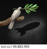 Risk of war concept as a freedom peace dove holding an olive branch casting a shadow that is shaped as a bomb as a symbol of  the danger of warfare caused by hatred and political posturing. Стоковое фото, агентство Ingram Publishing / Фотобанк Лори