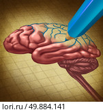 Repairing the brain and restoring lost memory medical concept as a human thinking organ with a missing portion being redrawn with a blue pencil as a symbol and cmetaphor for doctor care and research in neurology or brainwashing. Стоковое фото, агентство Ingram Publishing / Фотобанк Лори