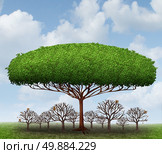 Dominating the market business concept as a symbol of taking over a sector by absorbing investment and growth potential with a metaphor of a big tree blocking the sun from smaller competitors resulting in a healthy profits while destroying the competitors. Стоковое фото, агентство Ingram Publishing / Фотобанк Лори