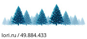 Winter blue pine tree background seasonal holidays design element border design with a group of  Christmas trees on a white background as a cool festive evergreen forest icon with fog and snow for the holiday season including New Year. Стоковое фото, агентство Ingram Publishing / Фотобанк Лори
