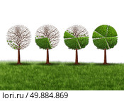 Economy prosperity and economic success financial concept as a group of green trees shaped as growing finance pie chart as a metaphor for gradual gains in company stock or competitive wealth gain on a white background. Стоковое фото, агентство Ingram Publishing / Фотобанк Лори