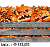 Halloween pumpkin Harvest as a group of scary carved jackolantern monsters in a wood box or farm bin as a concept and symbol for a creepy advertisement and marketing announcement for a harvesting time party. Стоковое фото, агентство Ingram Publishing / Фотобанк Лори