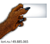 Werewolf hand holding a blank card sign as a creepy creature for halloween or scary symbol with textured hairy and textured skin with cursed wolf monster fingers on a white background. Стоковое фото, агентство Ingram Publishing / Фотобанк Лори
