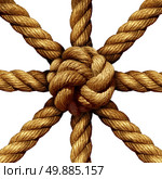 Connected Group business concept and unity symbol as a collection of thick ropes coming together tied in a knot at the center as a symbol for network strength and unity support isolated on a white background. Стоковое фото, агентство Ingram Publishing / Фотобанк Лори