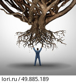 Uprooting and power concept and growt mamnagement symbol as a businessman holding up an uprooted tree as an icon for environmental damage as a business idea. Стоковое фото, агентство Ingram Publishing / Фотобанк Лори