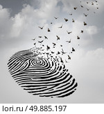 Identity freedom concept as a fingerprint transforming into flying birds as a metaphor for a person losing a psychological identity or a symbol of death and renewal after a loss of a loved one. Стоковое фото, агентство Ingram Publishing / Фотобанк Лори
