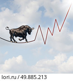 Bull market risk financial concept as a heavy bullish beast walking on a high tightrope shaped as a stock market profit chart representing the investment danger ahead. Стоковое фото, агентство Ingram Publishing / Фотобанк Лори