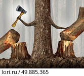 Competitive strategy concept as a ruthless tree eliminating competition by cutting them down as a career and ambition business idea as a metaphor with a powerful tree holding an ax moving market competitors with branches shaped as human arms. Стоковое фото, агентство Ingram Publishing / Фотобанк Лори