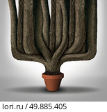 Exceed expectations business concept or maximum potential and outperform metaphor as a small flower pot with a giant expanding tree trunks growing with limited resources. Стоковое фото, агентство Ingram Publishing / Фотобанк Лори