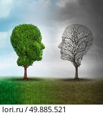 Human mood and emotion disorder concept as a tree shaped as two human faces with one half full of leaves and the opposite side empty branches as a medical metaphor for psychological contrast in feelings. Стоковое фото, агентство Ingram Publishing / Фотобанк Лори