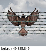 Restricted freedom concept and constrained opportunity symbol as a bird caught and entangled in a barbed wire fence as an icon for frustration and suppression. Стоковое фото, агентство Ingram Publishing / Фотобанк Лори