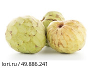 Custard apple, also known as Bullocks or Bulls Heart on white background. Стоковое фото, агентство Ingram Publishing / Фотобанк Лори