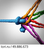 Connected group concept as many different ropes tied and linked together as an unbreakable chain as a community trust and faith metaphor for dependence and reliance on trusted partners for team and teamwork support and strength. Стоковое фото, агентство Ingram Publishing / Фотобанк Лори