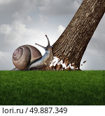 Strength concept as a snail pushing down a large tree trunk as a business success metaphor for the power of motivation and a symbol for confidence and courage to accomplish anything. Стоковое фото, агентство Ingram Publishing / Фотобанк Лори