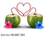 Intimate couple romantically in love as two coconut tropical drinks with faces made of water drops and straws embracing and hugging together as a cute relationship symbol and a valentine day icon. Стоковое фото, агентство Ingram Publishing / Фотобанк Лори