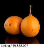 Passion fruit maracuja granadilla on black background. Стоковое фото, агентство Ingram Publishing / Фотобанк Лори