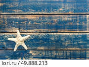 starfish. Стоковое фото, агентство Ingram Publishing / Фотобанк Лори