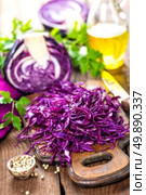 scotch kale. Стоковое фото, агентство Ingram Publishing / Фотобанк Лори
