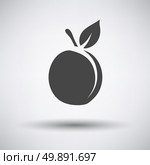Peach icon on gray background with round shadow. Vector illustration. Стоковая иллюстрация, агентство Ingram Publishing / Фотобанк Лори