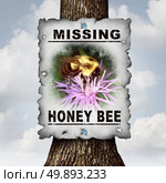 Honey bee missing concept or disappearing bees message sign as an agriculture symbol for farming pollination crisis as the decline and vanishing  pollinating insects in a 3D illustration style. Стоковое фото, агентство Ingram Publishing / Фотобанк Лори