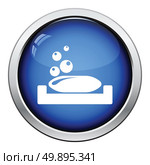 Soap-dish icon. Glossy button design. Vector illustration. Стоковая иллюстрация, агентство Ingram Publishing / Фотобанк Лори