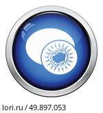 Icon of Kiwi. Glossy button design. Vector illustration. Стоковая иллюстрация, агентство Ingram Publishing / Фотобанк Лори