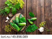 pickling cucumbers. Стоковое фото, агентство Ingram Publishing / Фотобанк Лори